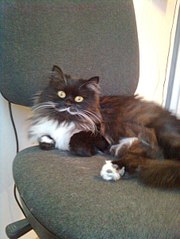 453 X 604 52.8 Kb   !    !