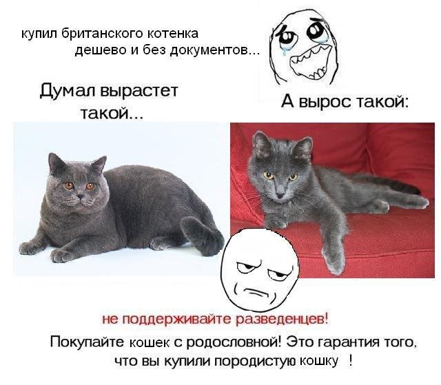 640 x 559   /