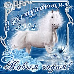 500 X 500 74.7 Kb Питомник 'BoldirevAlex',цветные Британские кошки У нас есть МАЛЫШИ!