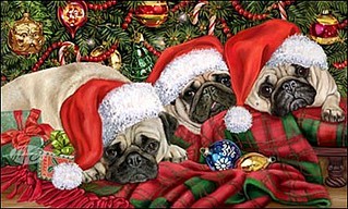 375 X 226  40.9 Kb   .   