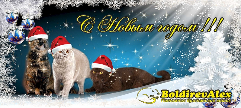 1920 X 866 245.6 Kb    !