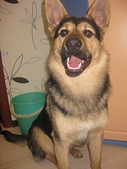 1920 X 2560 351.4 Kb 1920 X 2560 912.8 Kb 1920 X 2560 360.1 Kb 1920 X 2560 890.9 Kb  