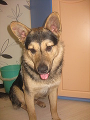 1920 X 2560 961.1 Kb 1920 X 2560 351.4 Kb 1920 X 2560 912.8 Kb 1920 X 2560 360.1 Kb 1920 X 2560 890.9 Kb  