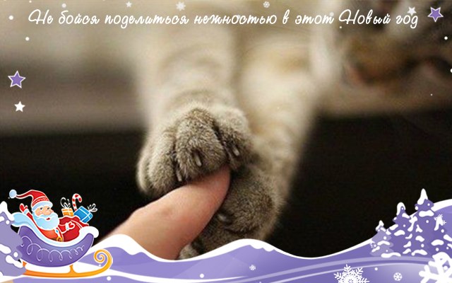 640 x 400 С наступающим Новым Годом!
