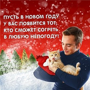 412 X 412  51.5 Kb БУРМЫ- шелковые пантеры. Питомник бурманских кошек 'NATIZE'. У нас БУРМЯТА !