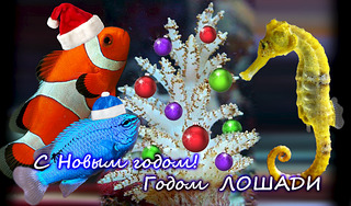 1191 X 700 741.3 Kb Глубокое синее море.