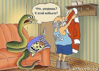 491 X 355 42.2 Kb ...  ...