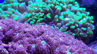 1920 X 1080 923.3 Kb 1920 X 1080 987.2 Kb Глубокое синее море.