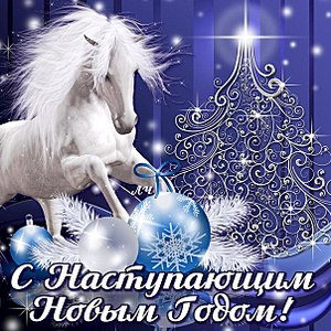 604 X 604 124.7 Kb Наш малыш:)Чау-чау и еще много-много чау-чау=)