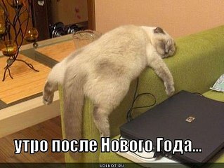 500 X 376 35.7 Kb С наступающим Новым Годом!