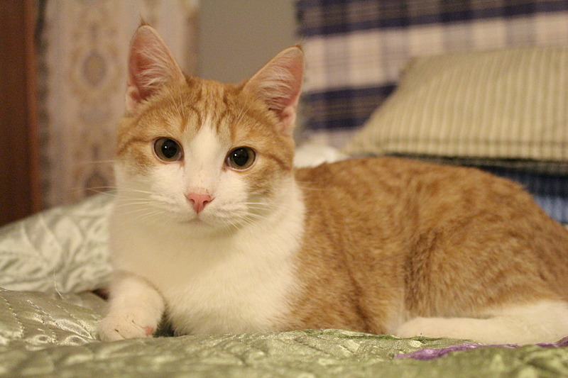 1920 X 1280 500.5 Kb  ,  -    .