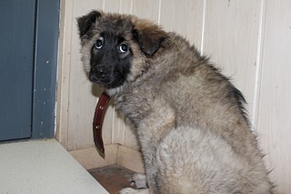 1920 X 1280 507.8 Kb  -  "" -  ,  , ....