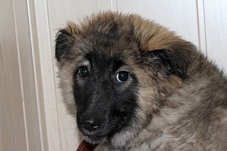 1920 X 1280 461.3 Kb  -  "" -  ,  , ....