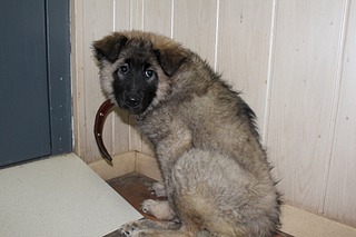 1920 X 1280 447.6 Kb  -  "" -  ,  , ....