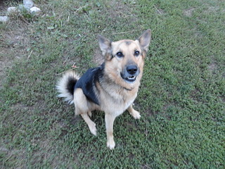 1920 X 1440 777.9 Kb  !