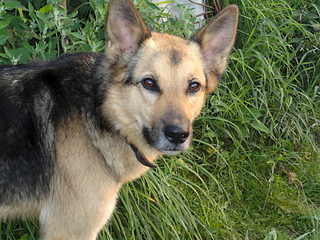 1920 X 1440 333.1 Kb 1920 X 1440 334.2 Kb 1920 X 1440 777.9 Kb  !