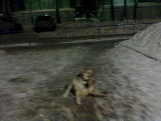 1024 X 768 72.7 Kb 1024 X 768 92.0 Kb  !