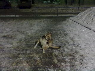 1024 X 768 95.2 Kb 1024 X 768 72.7 Kb 1024 X 768 92.0 Kb  !