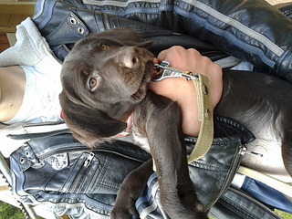 1920 X 1440 848.3 Kb  