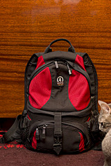 667 X 1000 190.7 Kb 1000 X 1500 189.6 Kb 1000 X 667 140.2 Kb 1000 X 667 128.2 Kb     