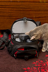 667 X 1000 142.3 Kb 667 X 1000 190.7 Kb 1000 X 1500 189.6 Kb 1000 X 667 140.2 Kb 1000 X 667 128.2 Kb     