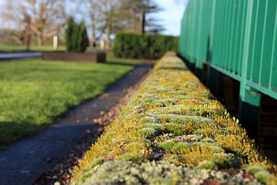 1024 X 683 485.9 Kb 1024 X 578 587.4 Kb 1024 X 683 390.3 Kb 1024 X 768 525.9 Kb   canon ef-s 18-135 mm f/3.5-5.6 is  canon ef 50 mm f/1.8 ii