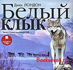 250 x 240 Амаркорд - кино на все времена