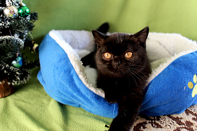 1920 X 1280 538.9 Kb      