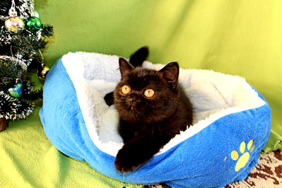 1920 X 1280 714.3 Kb 1920 X 1280 538.9 Kb      