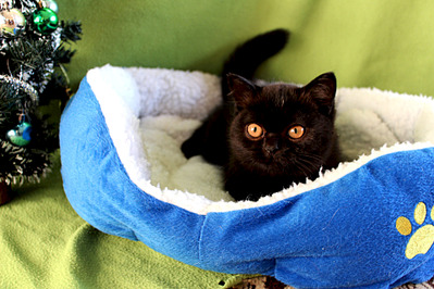 1920 X 1280 648.5 Kb 1920 X 1280 714.3 Kb 1920 X 1280 538.9 Kb      