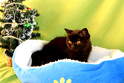 1920 X 1280 617.7 Kb 1920 X 1280 648.5 Kb 1920 X 1280 714.3 Kb 1920 X 1280 538.9 Kb      