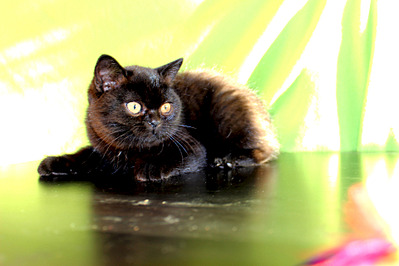 1920 X 1280 414.4 Kb 1920 X 1280 617.7 Kb 1920 X 1280 648.5 Kb 1920 X 1280 714.3 Kb 1920 X 1280 538.9 Kb      