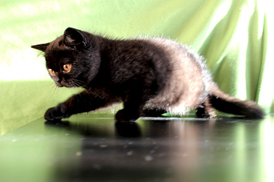 1920 X 1280 423.3 Kb 1920 X 1280 747.9 Kb      