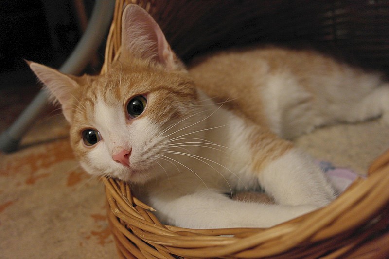 1920 X 1280 371.8 Kb  ,  -    .