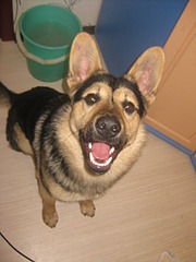 1920 X 2560 890.9 Kb  