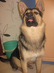 1920 X 2560 912.8 Kb 1920 X 2560 890.9 Kb  