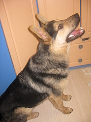 1920 X 2560 360.1 Kb 1920 X 2560 961.1 Kb 1920 X 2560 334.7 Kb 1920 X 2560 912.8 Kb 1920 X 2560 890.9 Kb  