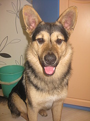 1920 X 2560 334.7 Kb 1920 X 2560 961.1 Kb 1920 X 2560 912.8 Kb 1920 X 2560 360.1 Kb 1920 X 2560 890.9 Kb  