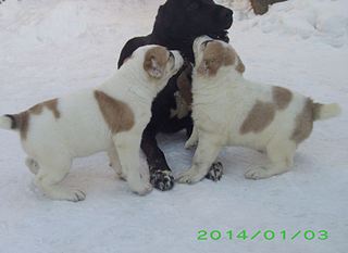 907 X 661  53.5 Kb 1027 X 683  71.6 Kb   