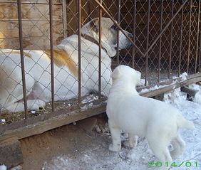 961 X 816 150.2 Kb 913 X 738  71.4 Kb 907 X 661  53.5 Kb 1027 X 683  71.6 Kb   