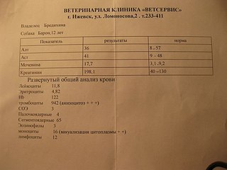 604 X 453 39.9 Kb Пенсионный фонд им.Миши Овчаркина
