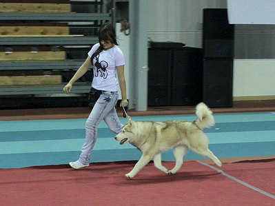 1280 X 957 195.6 Kb 1155 X 826 132.9 Kb 399 x 264  