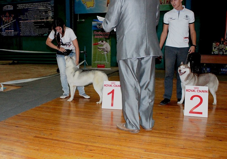 1280 X 894 230.6 Kb 1280 X 853 109.9 Kb  