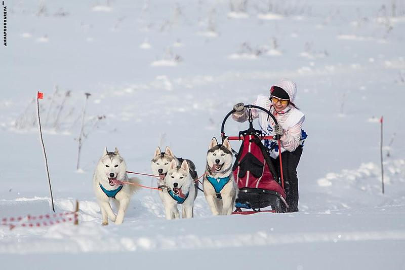 960 X 640  43.4 Kb 1280 X 894 230.6 Kb 1280 X 853 109.9 Kb  