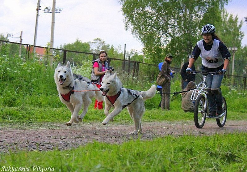 807 X 561 131.7 Kb 960 X 640  43.4 Kb 1280 X 894 230.6 Kb 1280 X 853 109.9 Kb  