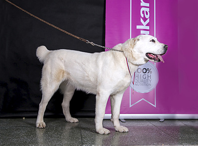 1920 X 1409 539.6 Kb   