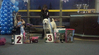 1920 X 1080 868.6 Kb   