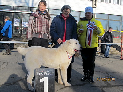 1920 X 1440 637.4 Kb   