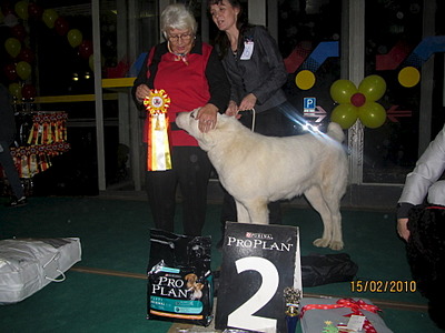 1920 X 1440 526.2 Kb 1920 X 1440 637.4 Kb   