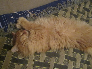 640 X 480 110.0 Kb 640 X 480 107.5 Kb  